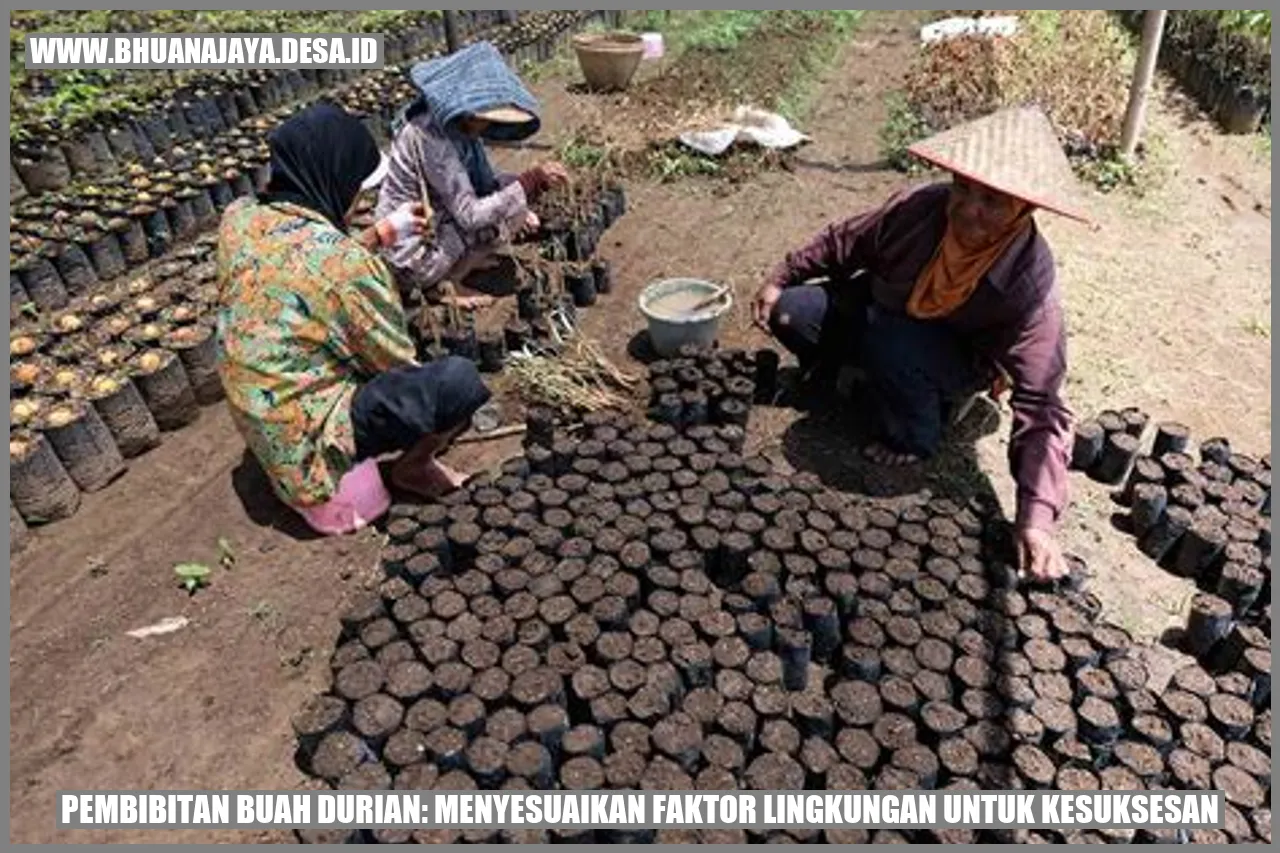Pembibitan Buah Durian: Menyesuaikan Faktor Lingkungan untuk Kesuksesan