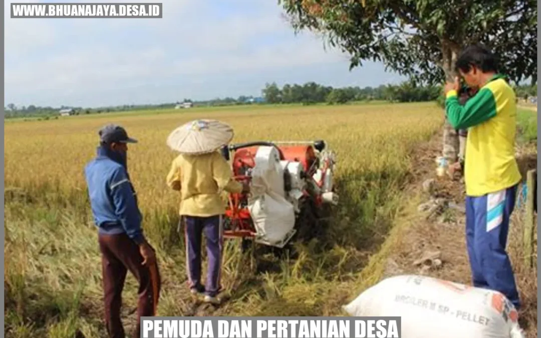 Pemuda dan Pertanian Desa