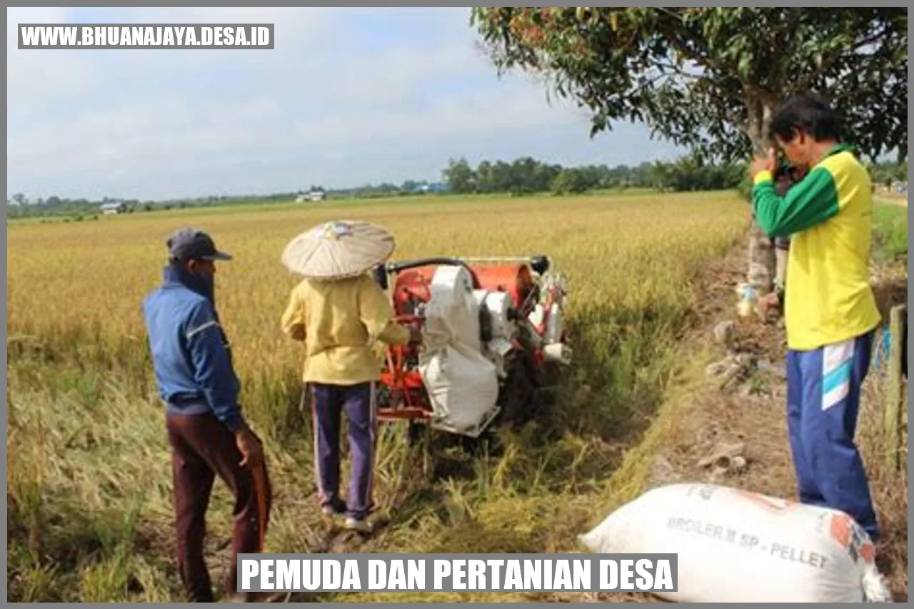 Pemuda dan Pertanian Desa