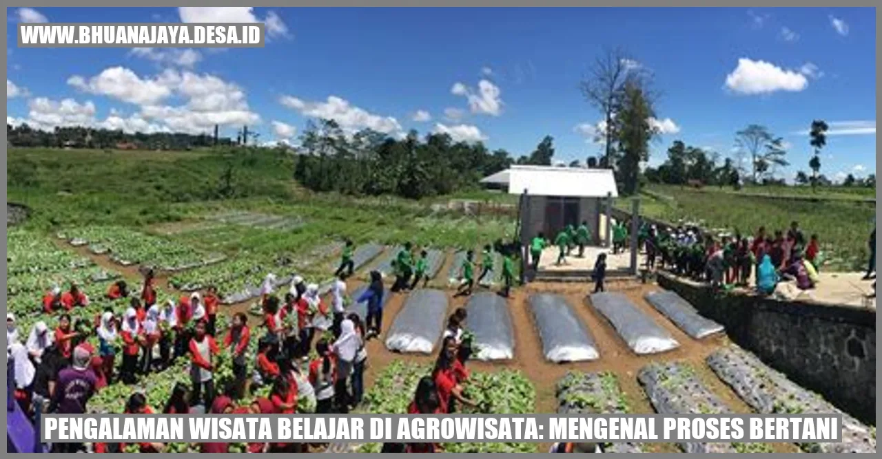 Pengalaman Wisata Belajar di Agrowisata: Mengenal Proses Bertani
