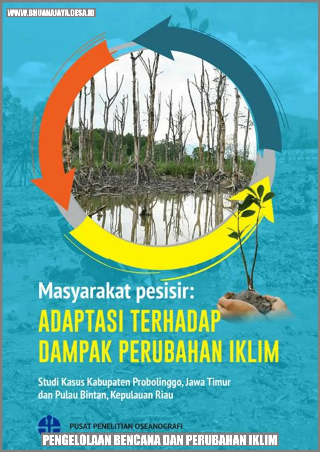 Pengelolaan Bencana dan Perubahan Iklim