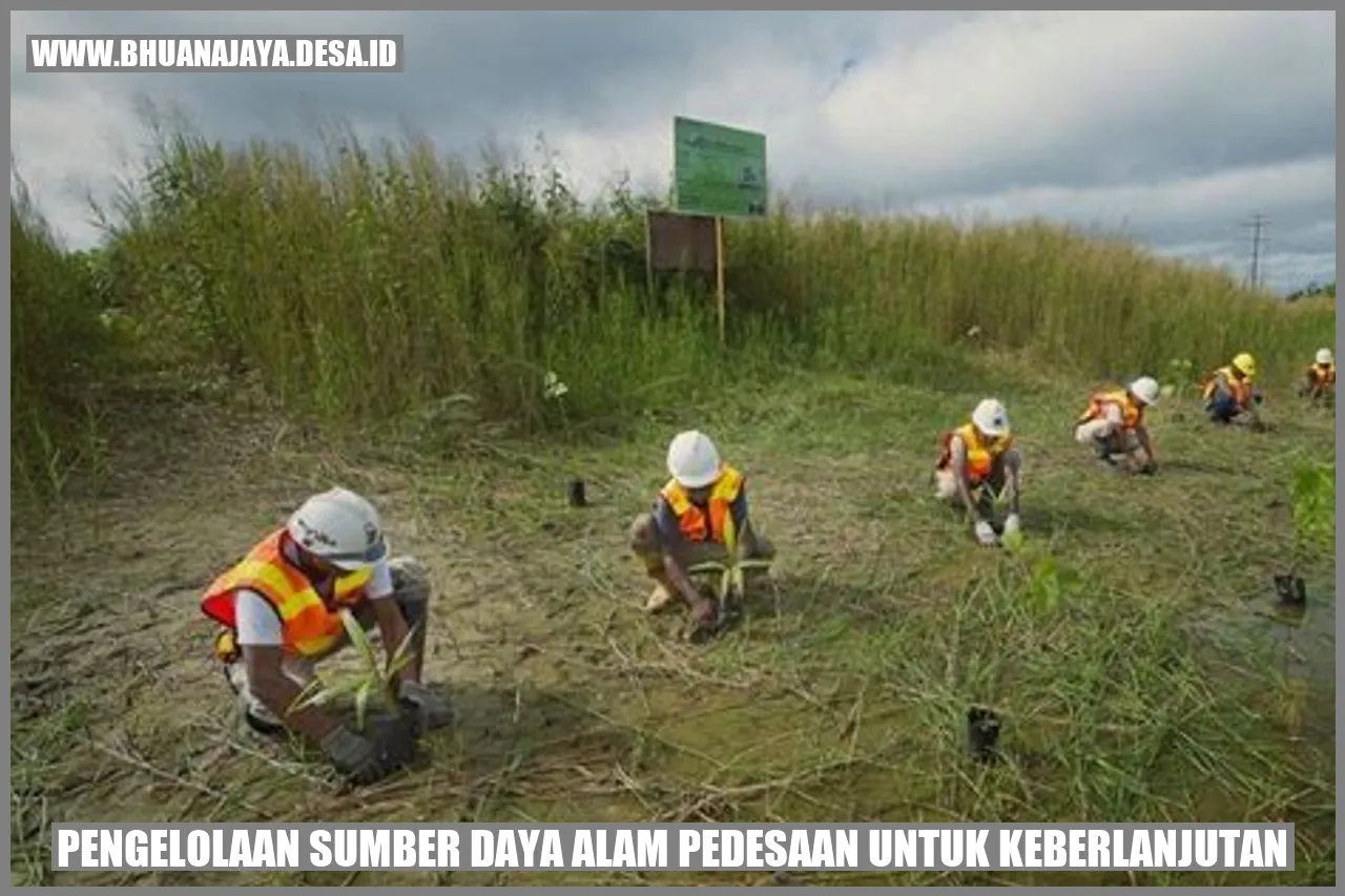 Pengelolaan Sumber Daya Alam Pedesaan untuk Keberlanjutan