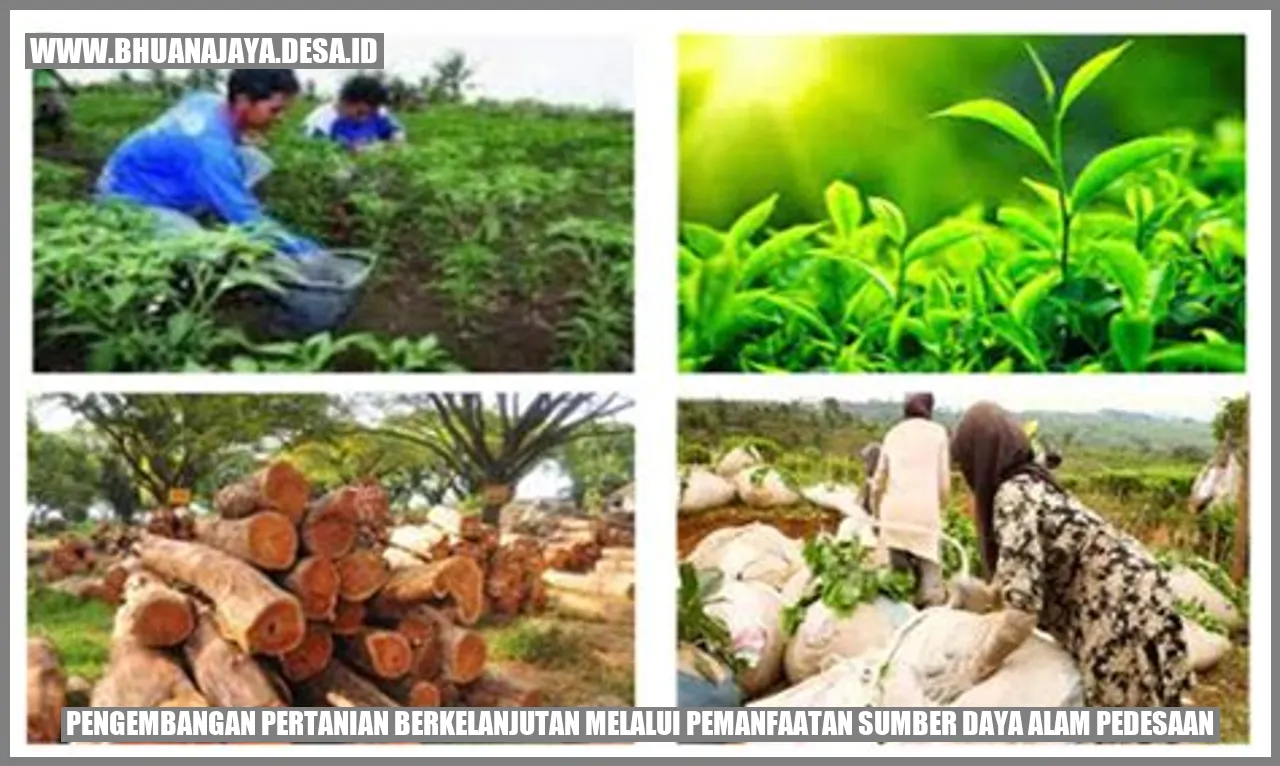Pengembangan Pertanian Berkelanjutan melalui Pemanfaatan Sumber Daya Alam Pedesaan