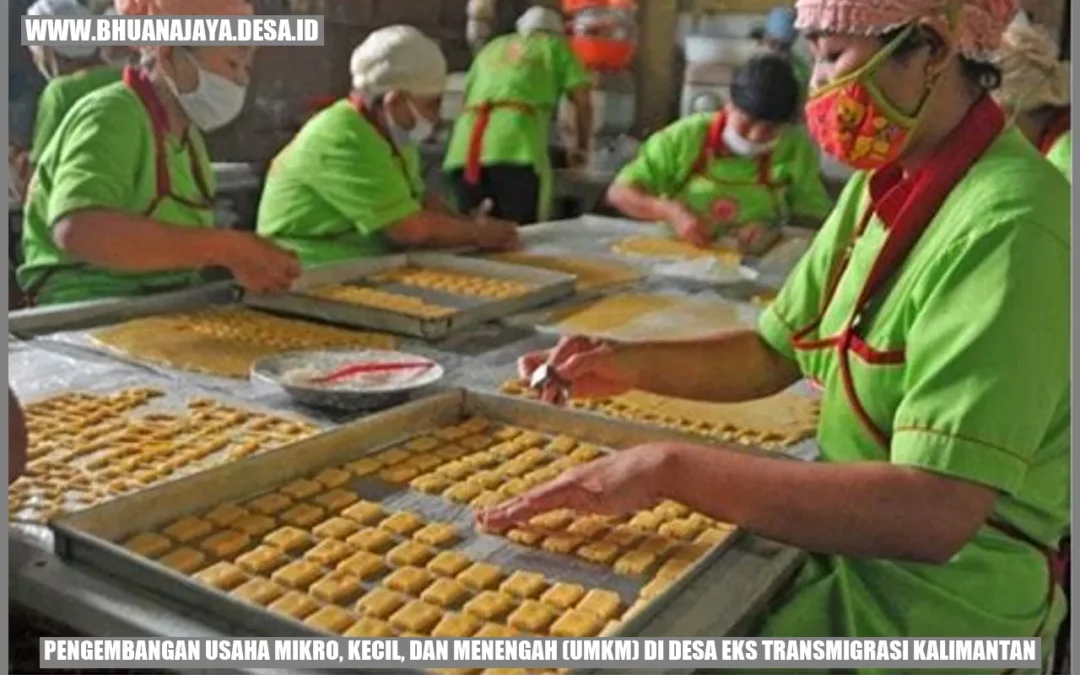 Pengembangan Usaha Mikro, Kecil, dan Menengah (UMKM) di Desa Eks Transmigrasi Kalimantan