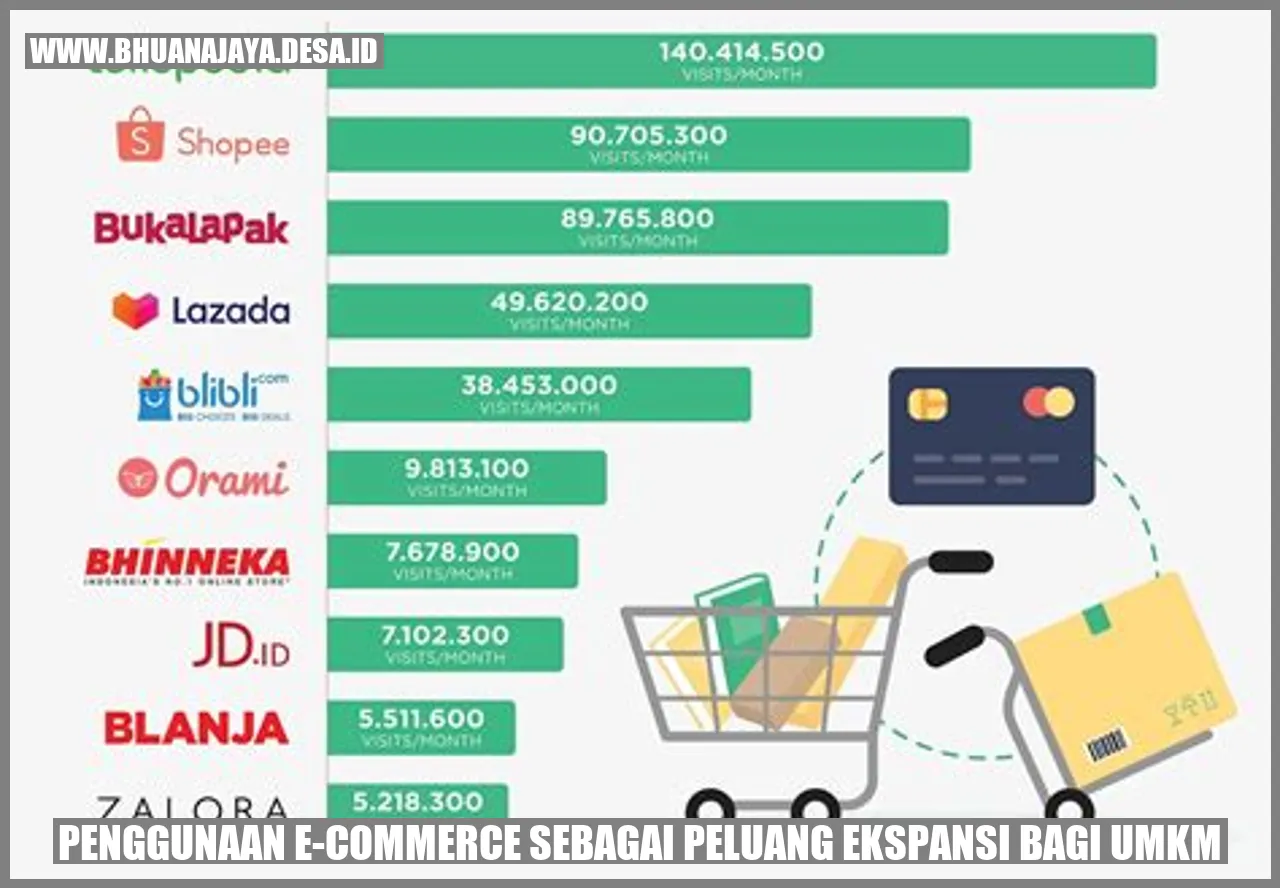 Penggunaan E-commerce sebagai Peluang Ekspansi bagi UMKM