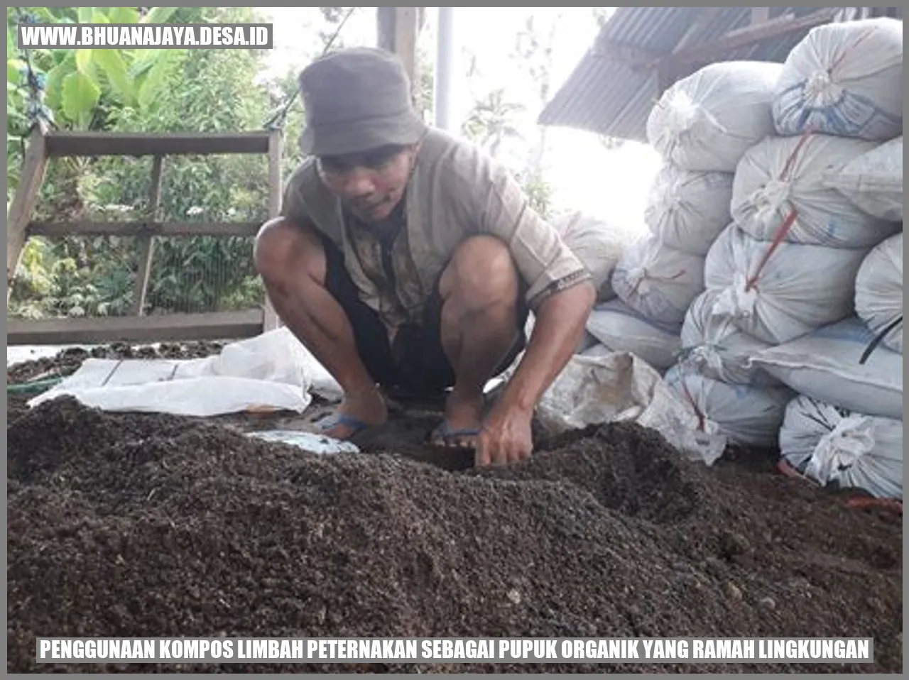 Gambar Kompos Limbah Peternakan