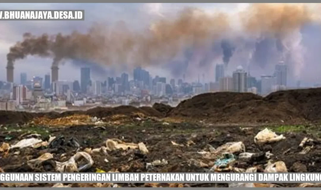Penggunaan Sistem Pengeringan Limbah Peternakan untuk Mengurangi Dampak Lingkungan