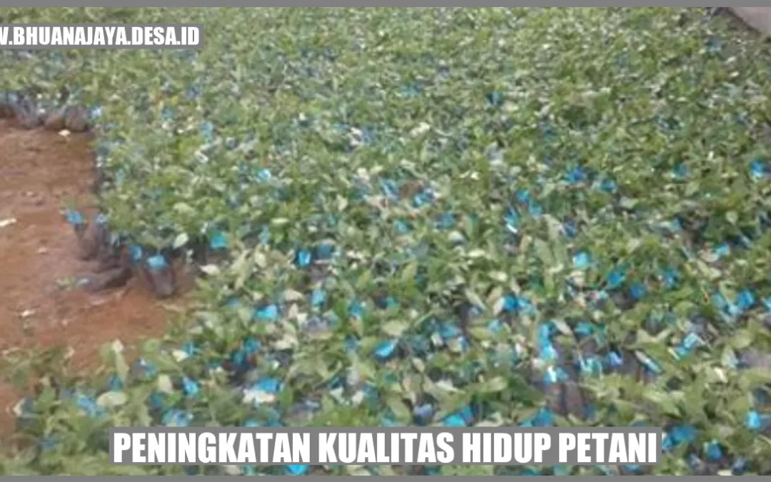 Peningkatan Kualitas Hidup Petani: Mengubah Masa Depan Petani Indonesia