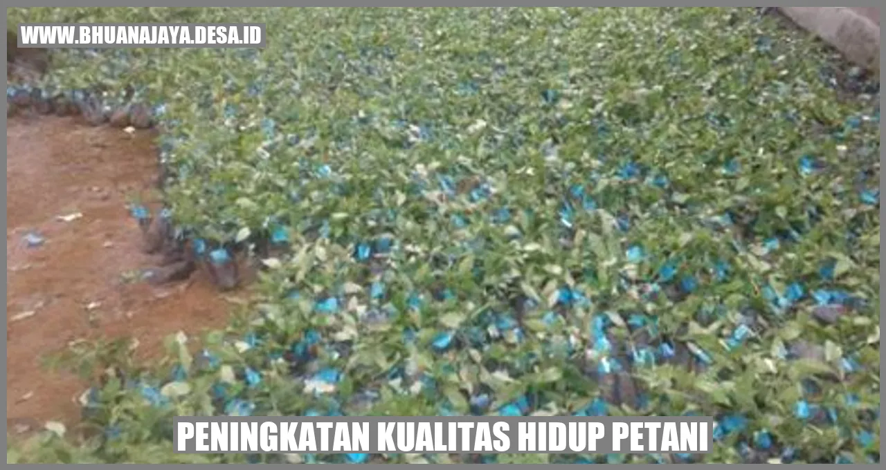 Peningkatan Kualitas Hidup Petani