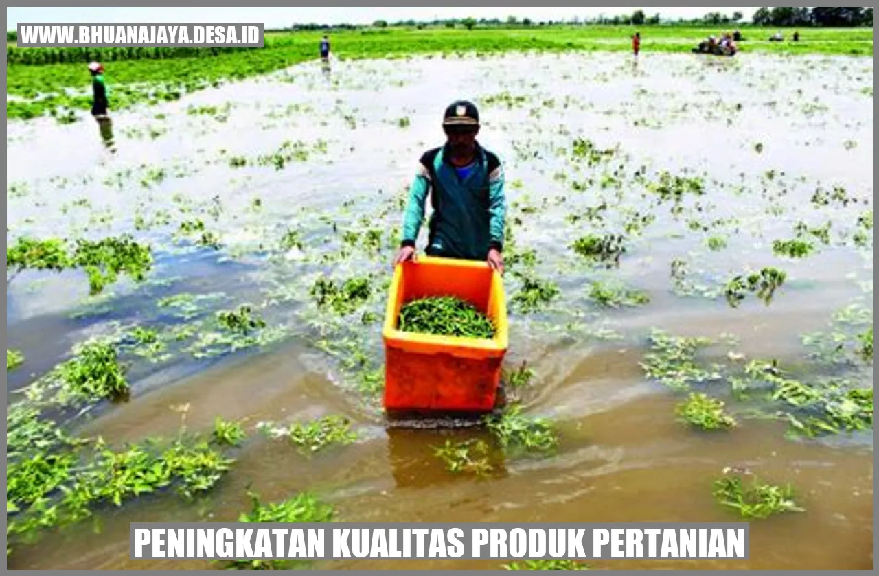 Peningkatan kualitas produk pertanian