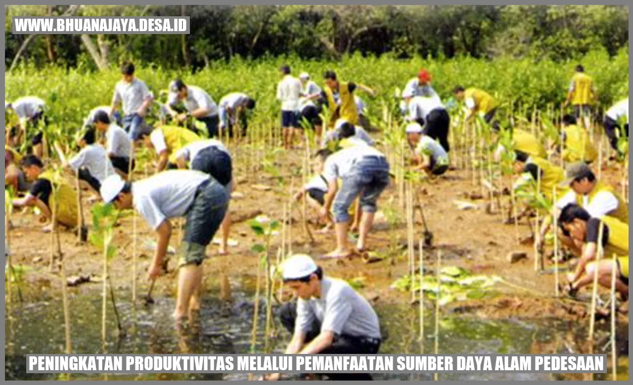 Peningkatan Produktivitas melalui Pemanfaatan Sumber Daya Alam Pedesaan