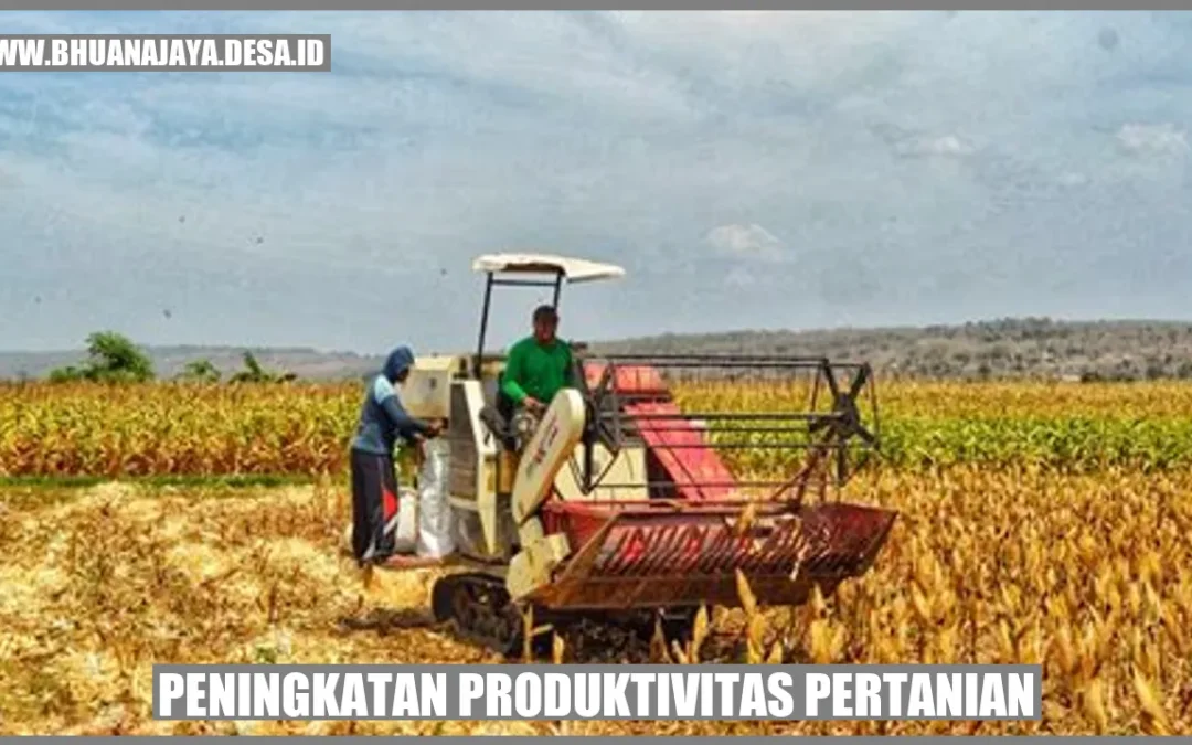 Peningkatan Produktivitas Pertanian: Meningkatkan Hasil Pertanian dengan Strategi Efektif