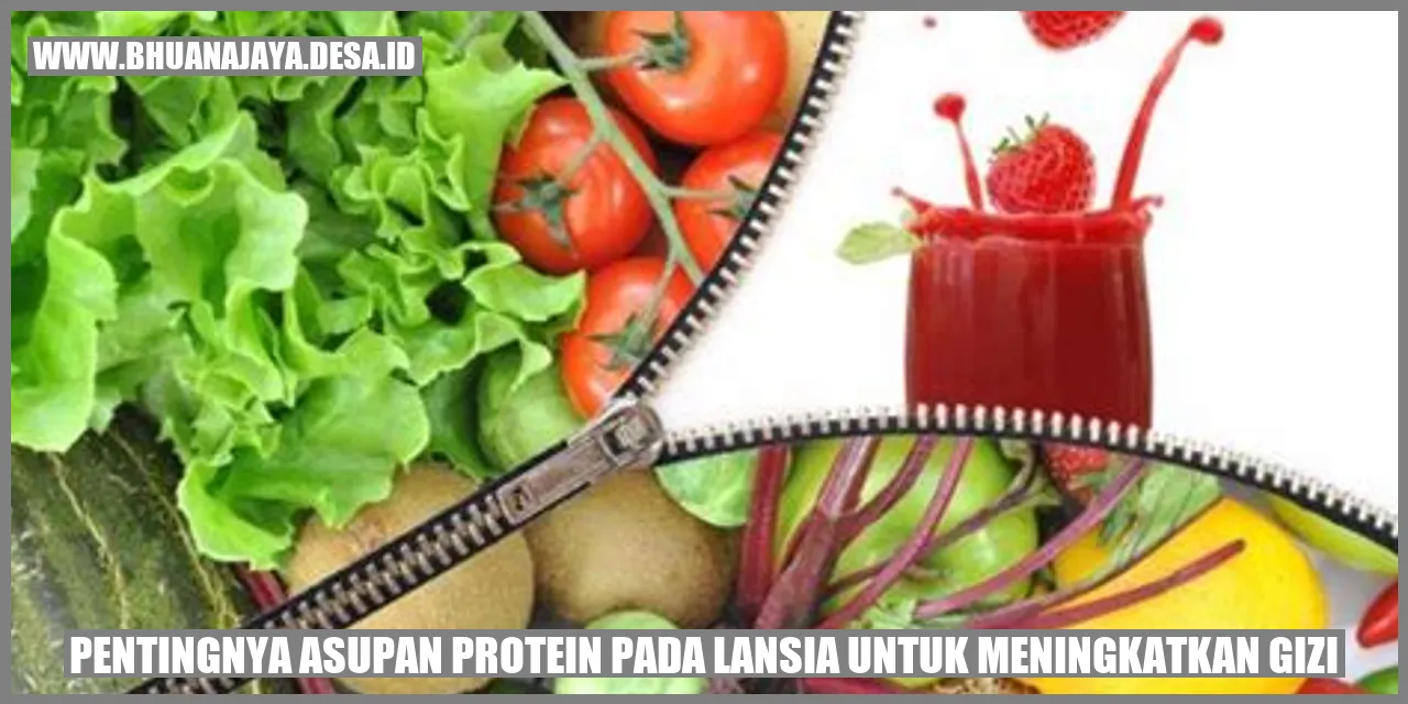 Pentingnya Asupan Protein pada Lansia untuk Meningkatkan Gizi