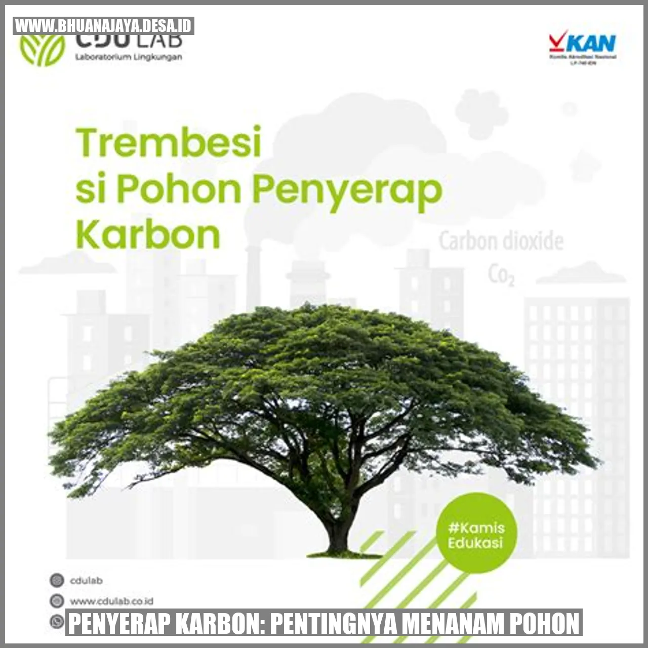 Penyerap Karbon: Pentingnya Menanam Pohon
