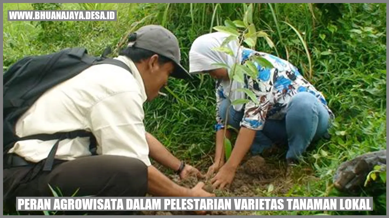 Peran Agrowisata dalam Pelestarian Varietas Tanaman Lokal