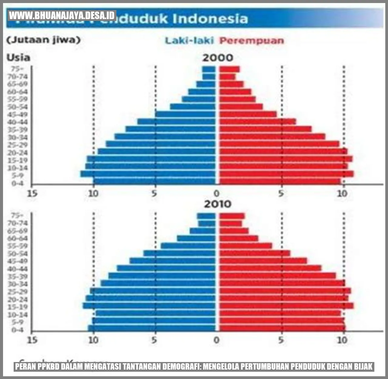 Peran PPKBD dalam Mengatasi Tantangan Demografi: Mengelola Pertumbuhan Penduduk dengan Bijak