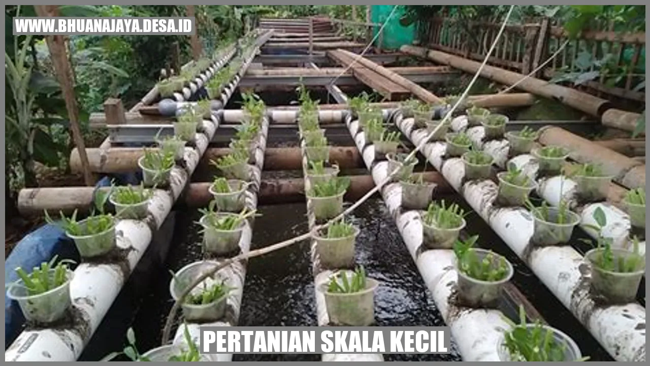Gambar Pertanian Skala Kecil