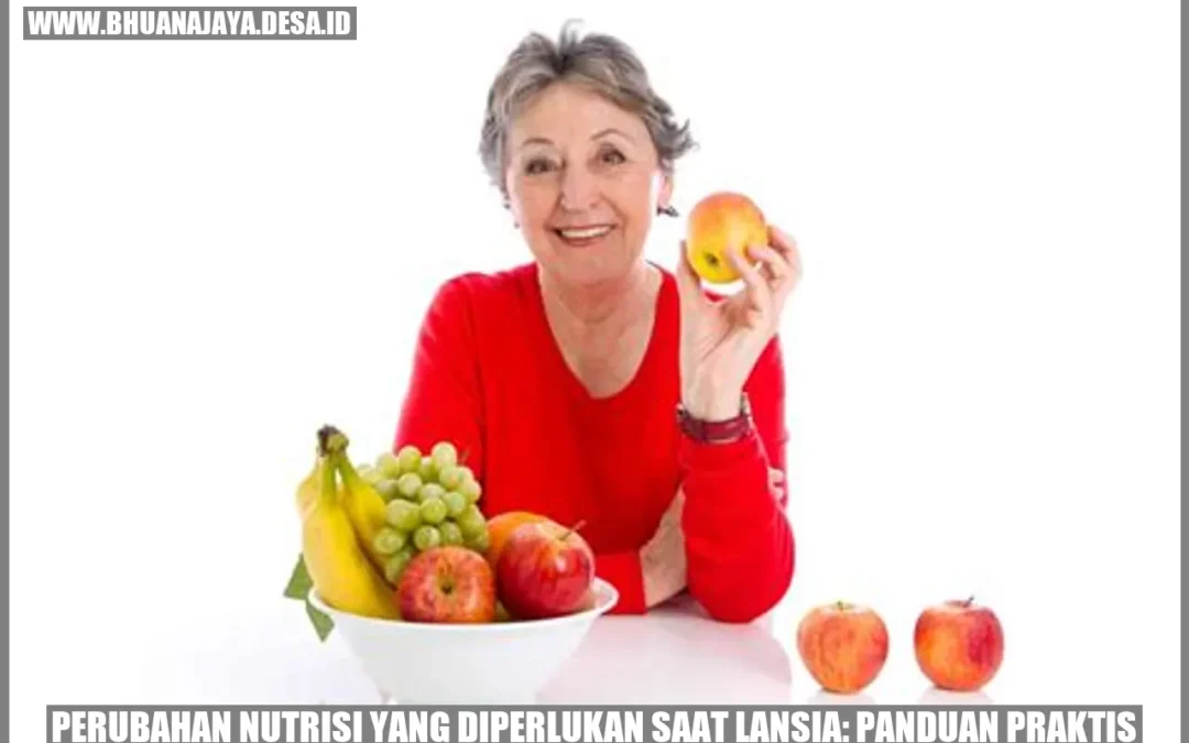Perubahan Nutrisi yang Diperlukan saat Lansia: Panduan Praktis