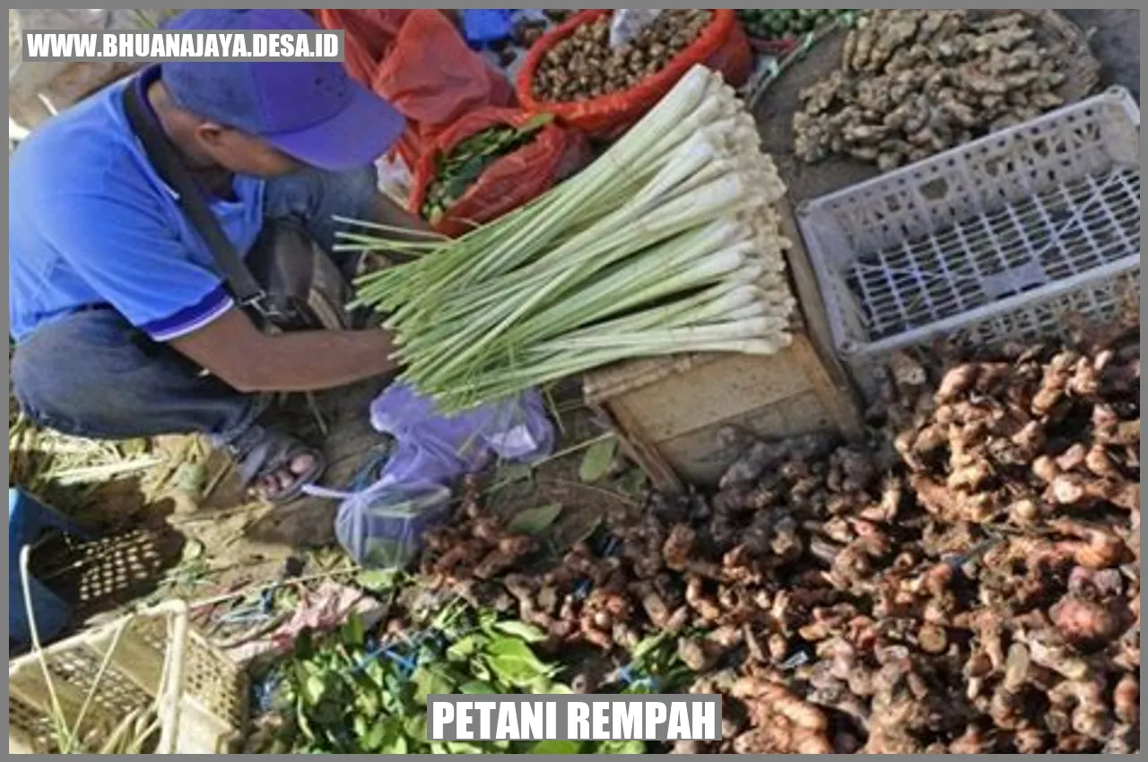 Petani Rempah