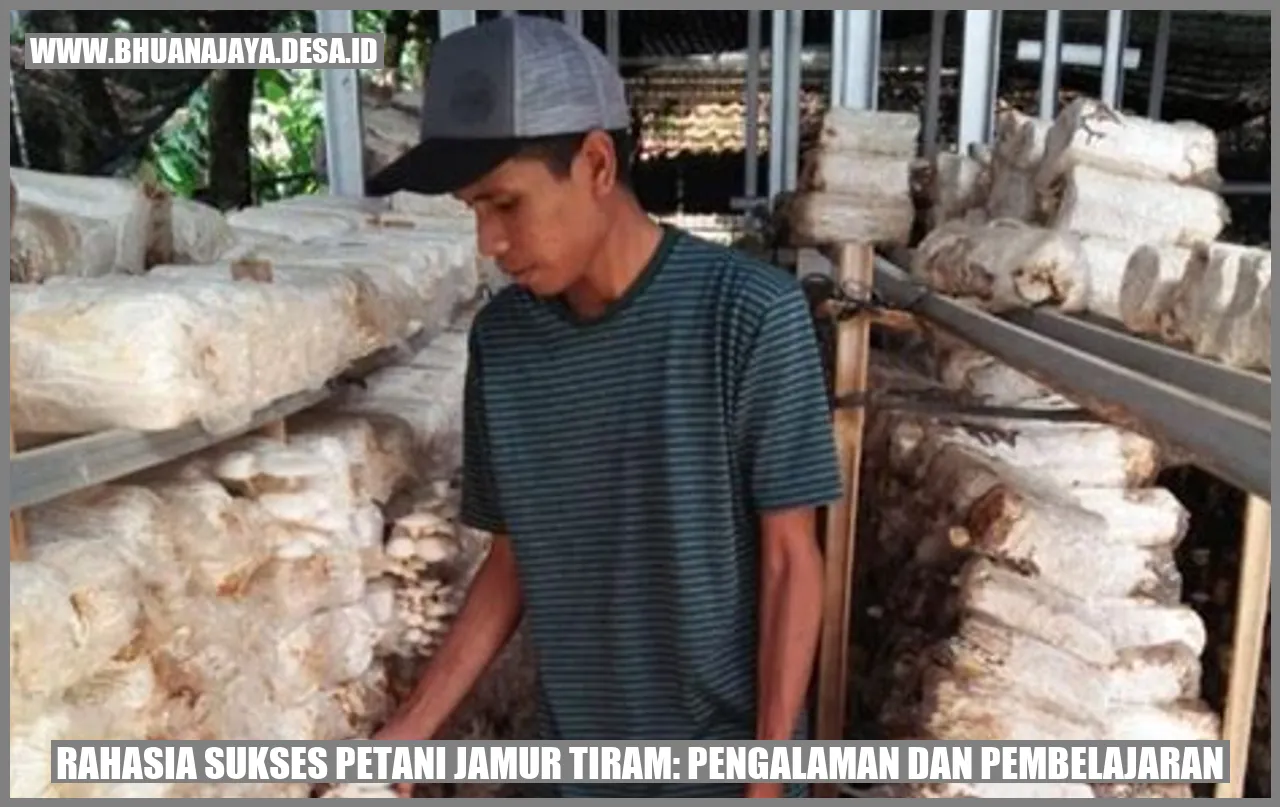 Rahasia Sukses Petani Jamur Tiram: Pengalaman dan Pembelajaran