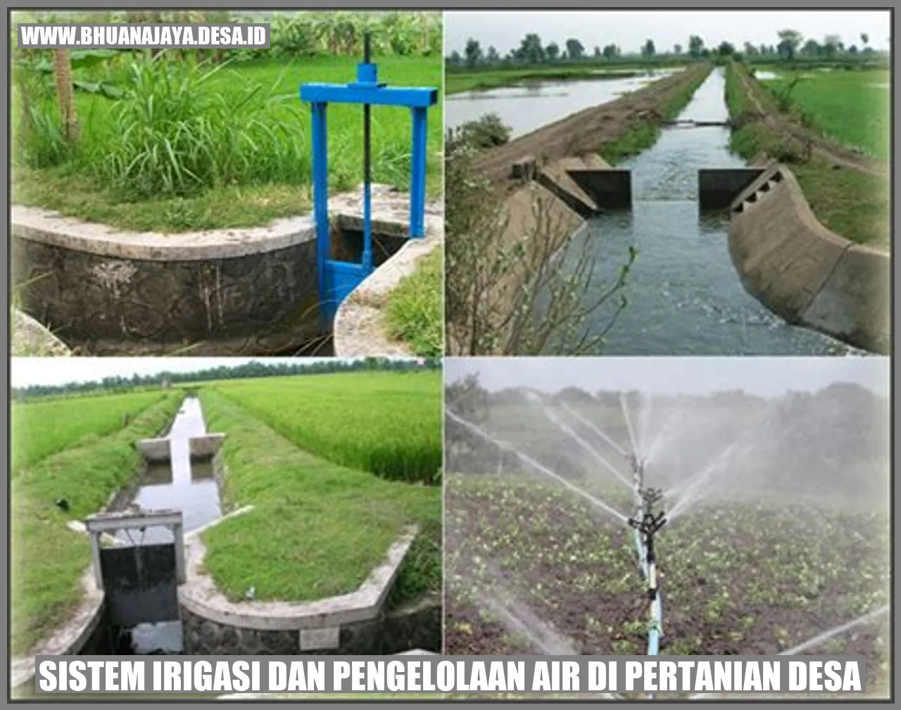 Sistem Irigasi dan Pengelolaan Air di Pertanian Desa