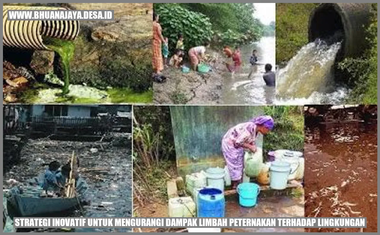Strategi Inovatif untuk Mengurangi Dampak Limbah Peternakan Terhadap Lingkungan