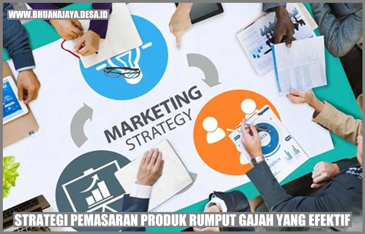 Strategi Pemasaran Produk Rumput Gajah yang Efektif