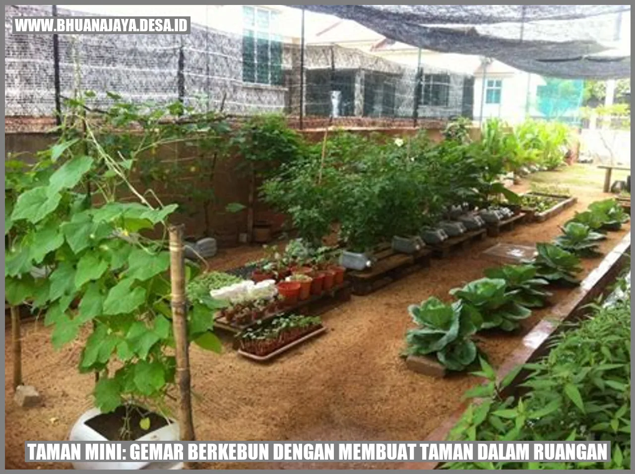 Taman Mini: Gemar Berkebun dengan Membuat Taman dalam Ruangan