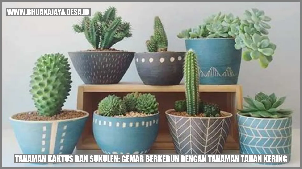 Tanaman Kaktus dan Sukulen: Gemar Berkebun dengan Tanaman Tahan Kering