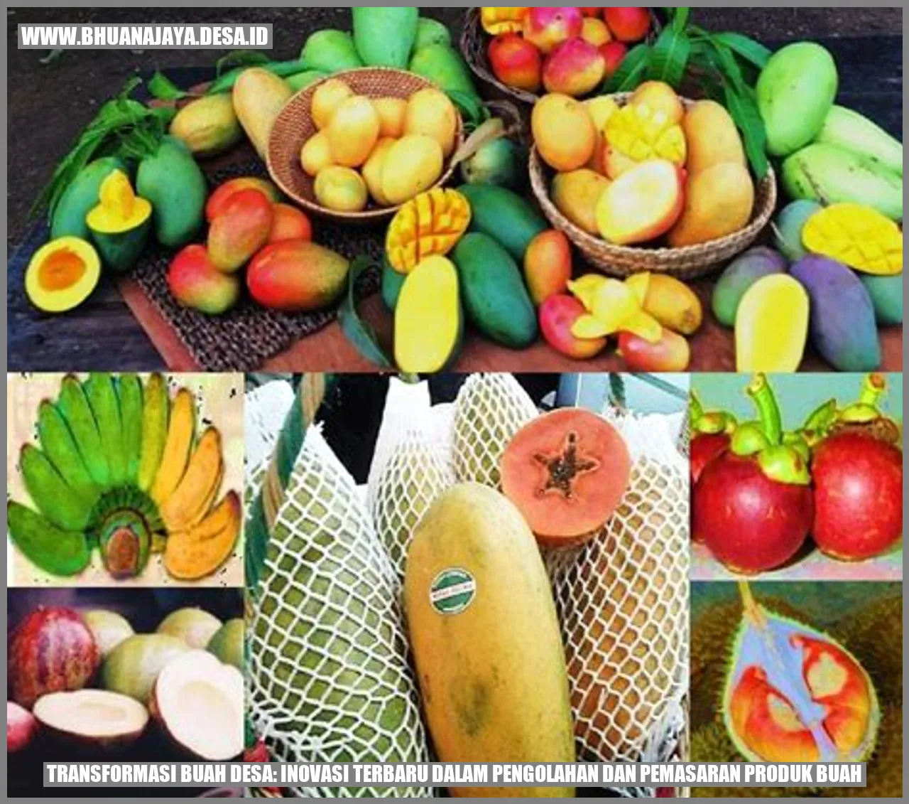 Transformasi Buah Desa: Inovasi Terbaru dalam Pengolahan dan Pemasaran Produk Buah