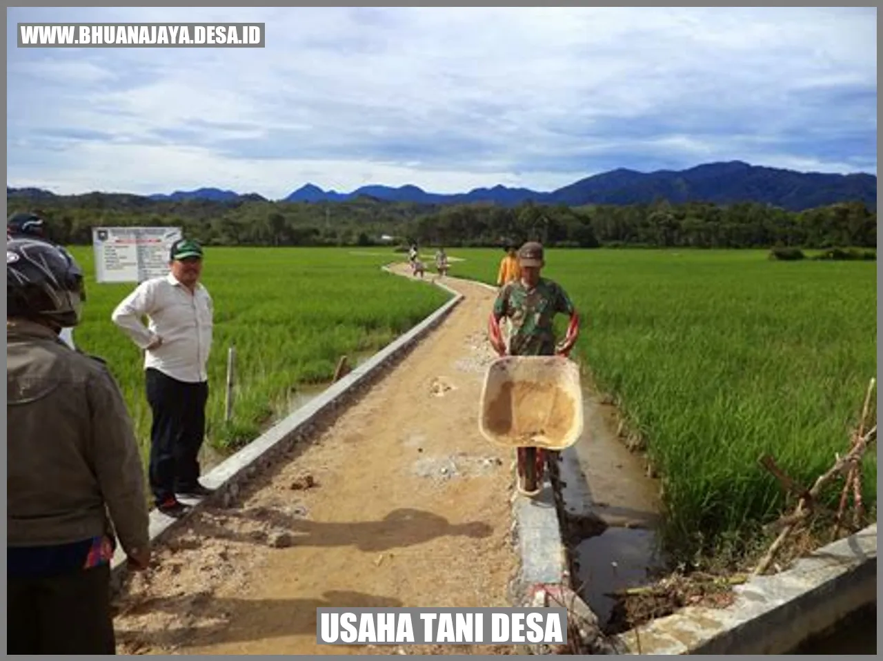 Usaha Tani Desa
